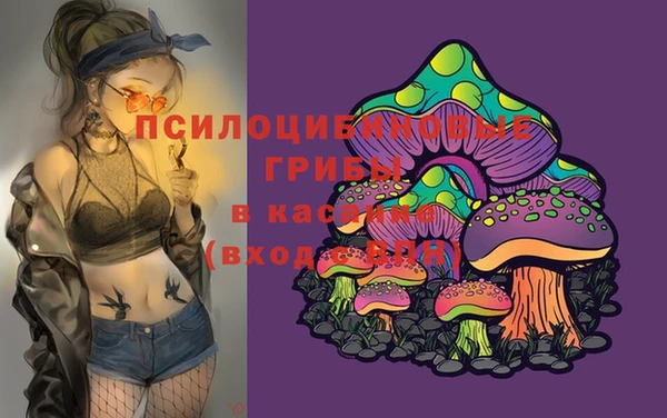 прущий лед Алексин